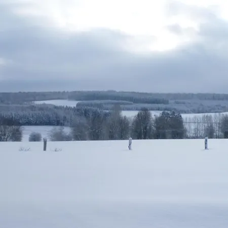 Le Rougegorge 펜션